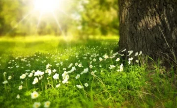 Summer season will arrive in Azerbaijan on June 21