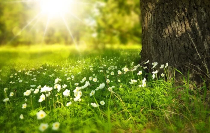 Summer season will arrive in Azerbaijan on June 21
