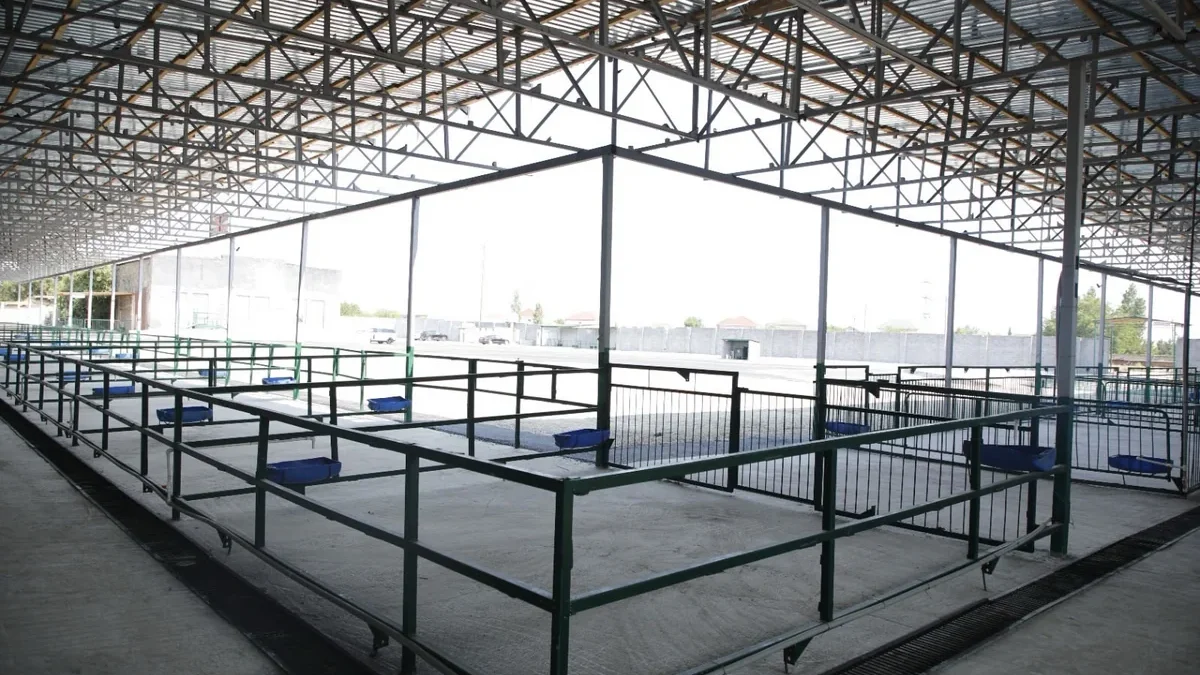 A new livestock market has started operating in Bina settlement