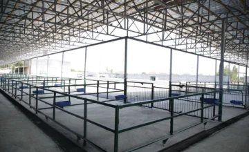 A new livestock market has started operating in Bina settlement