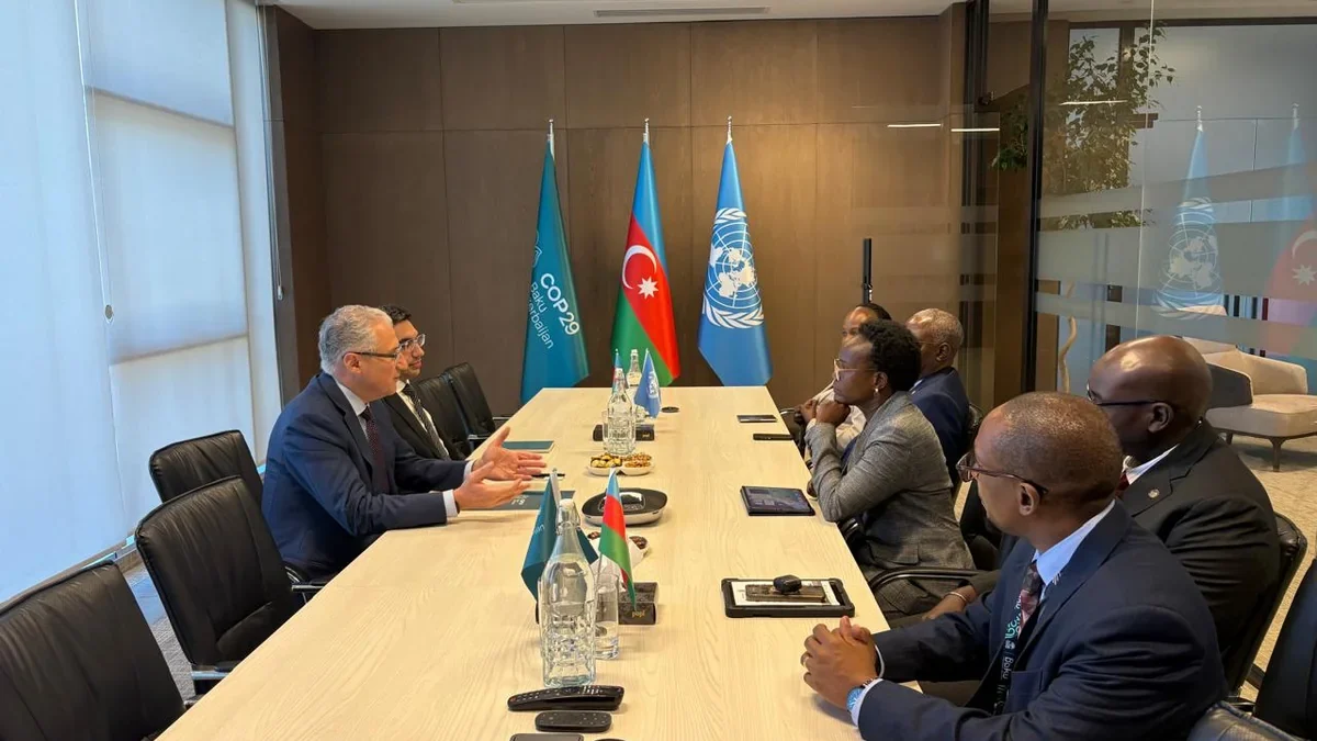 Opportunities to strengthen cooperation with African countries discussed