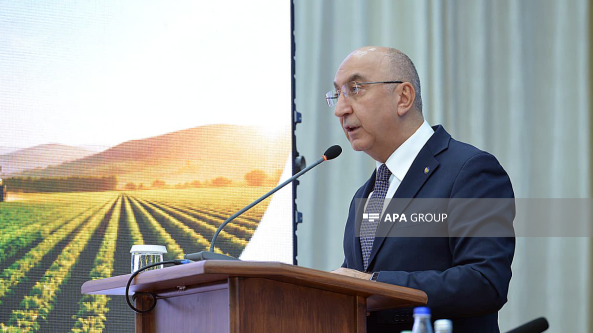 Deputy Chairman: There are ample opportunities in the Gazakh-Tovuz economic region for the implementation of the State Program in the agricultural sector