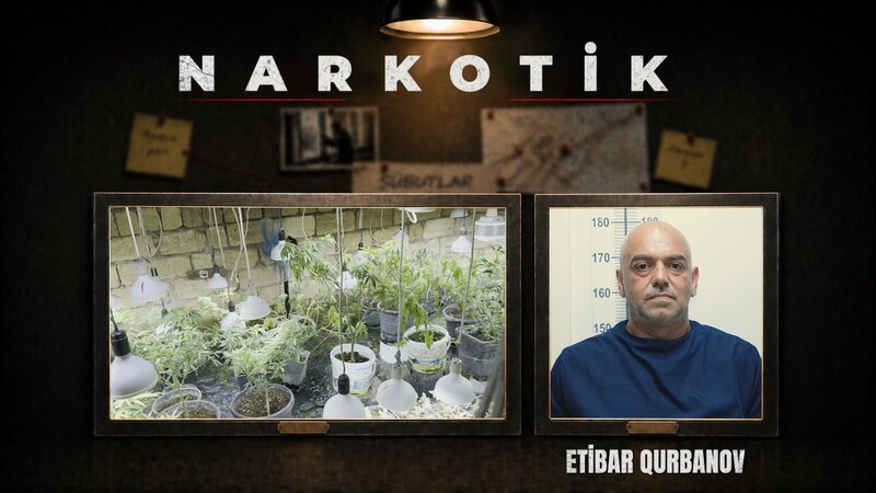 Police conducted an operation in Novkhani: Secret drug bunker discovered – VIDEO