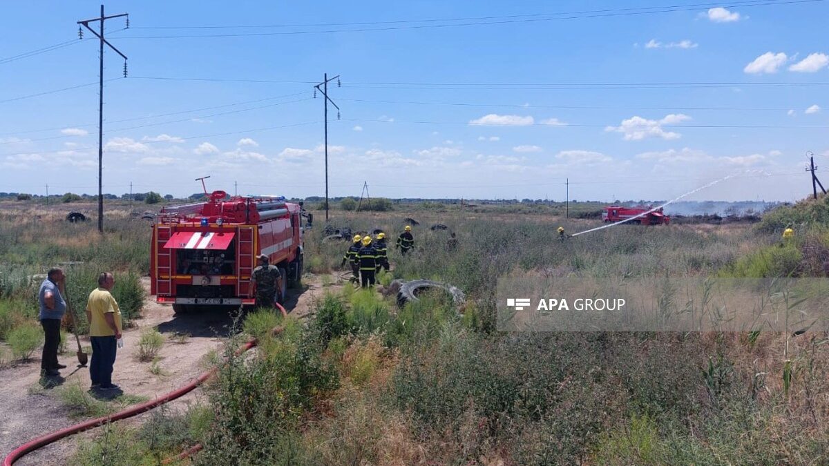 Fire in an open area in Hajigabul extinguished – VIDEO
