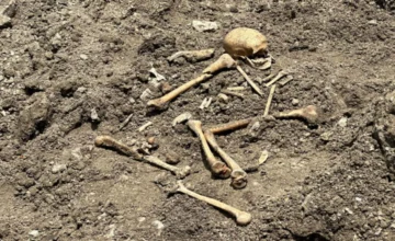 Human-like skeletal remains discovered during excavation in Aghdam