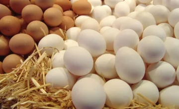AQTA: No non-conformities detected in one-penny eggs in stores