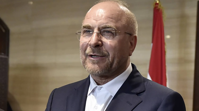 US wants to provide GMO products to Iran instead of frozen funds – Ghalibaf