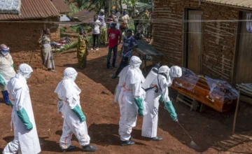 China has sent nearly a thousand medical workers to Congo to fight Ebola