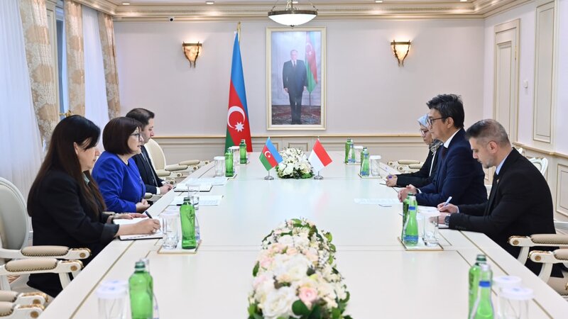 Speaker of the Milli Majlis received the Ambassador of Indonesia to our country