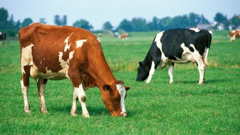 New concessions will be applied to these farmers