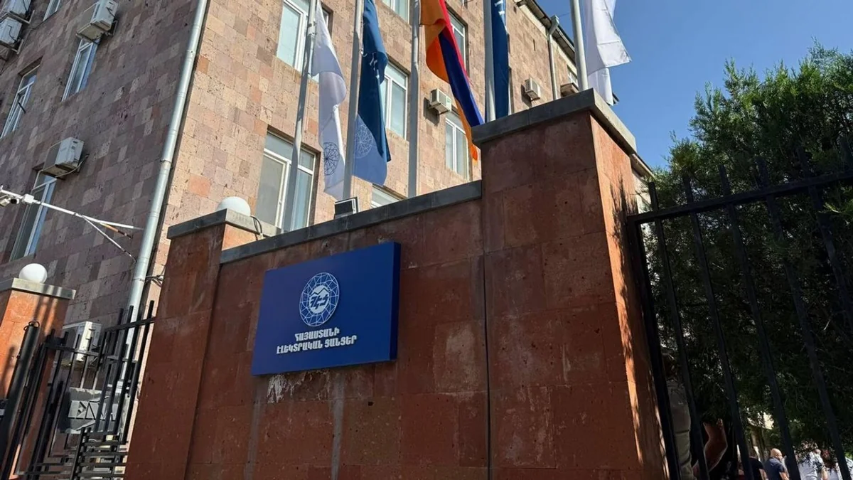 “Electric Networks of Armenia” may be recognized as a public enterprise