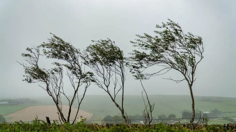 Strong winds expected for two days – WARNING