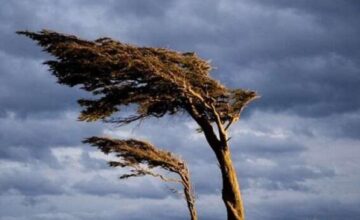 Until when will the strong wind blow in Baku?