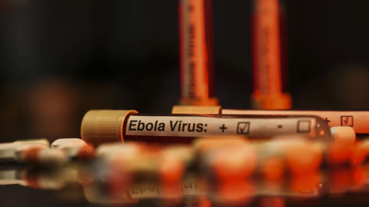 UN Ebola warning!
