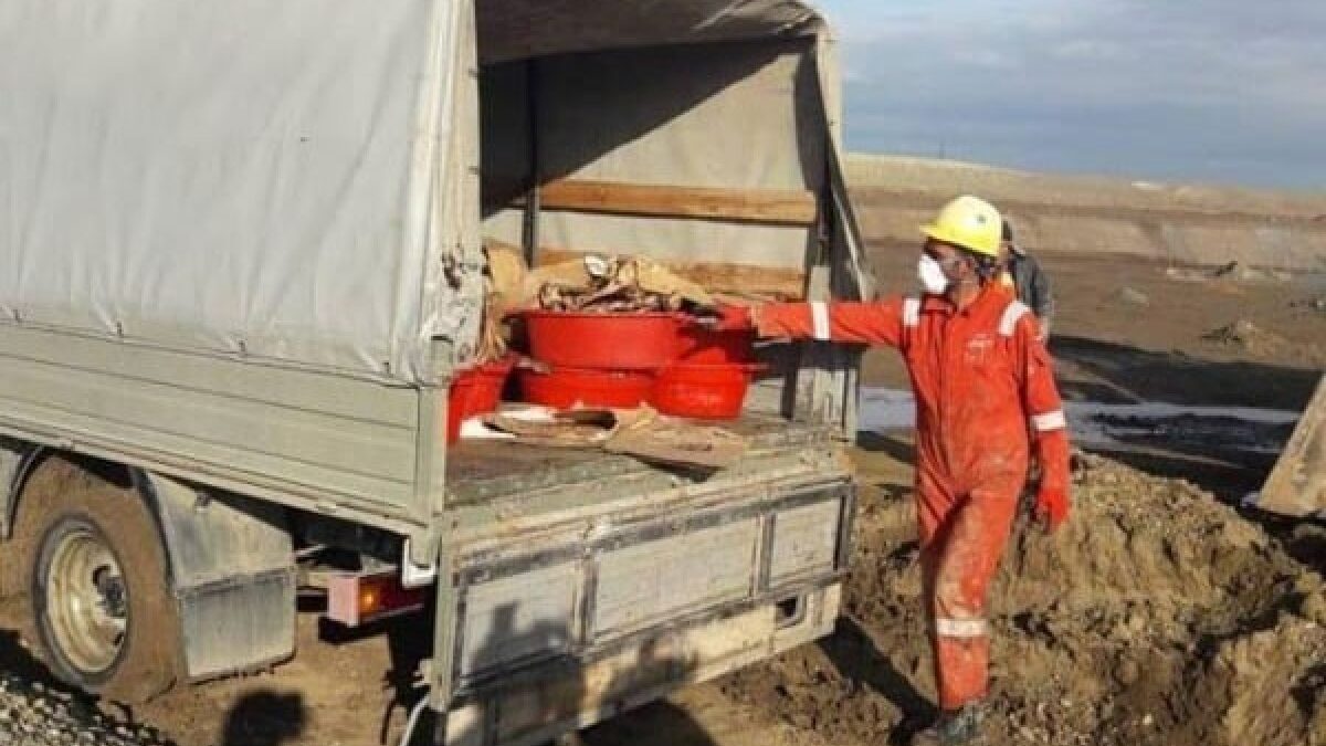 More than 30 tons of unfit meat destroyed