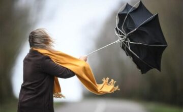 Yellow warning issued due to windy weather conditions