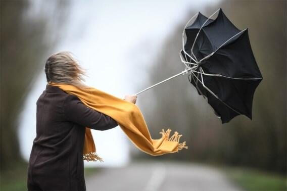 Yellow warning issued due to windy weather conditions