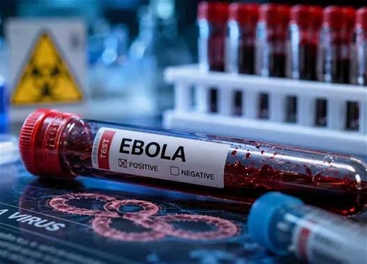 The death toll from Ebola fever in DR Congo and Uganda has exceeded 1,000