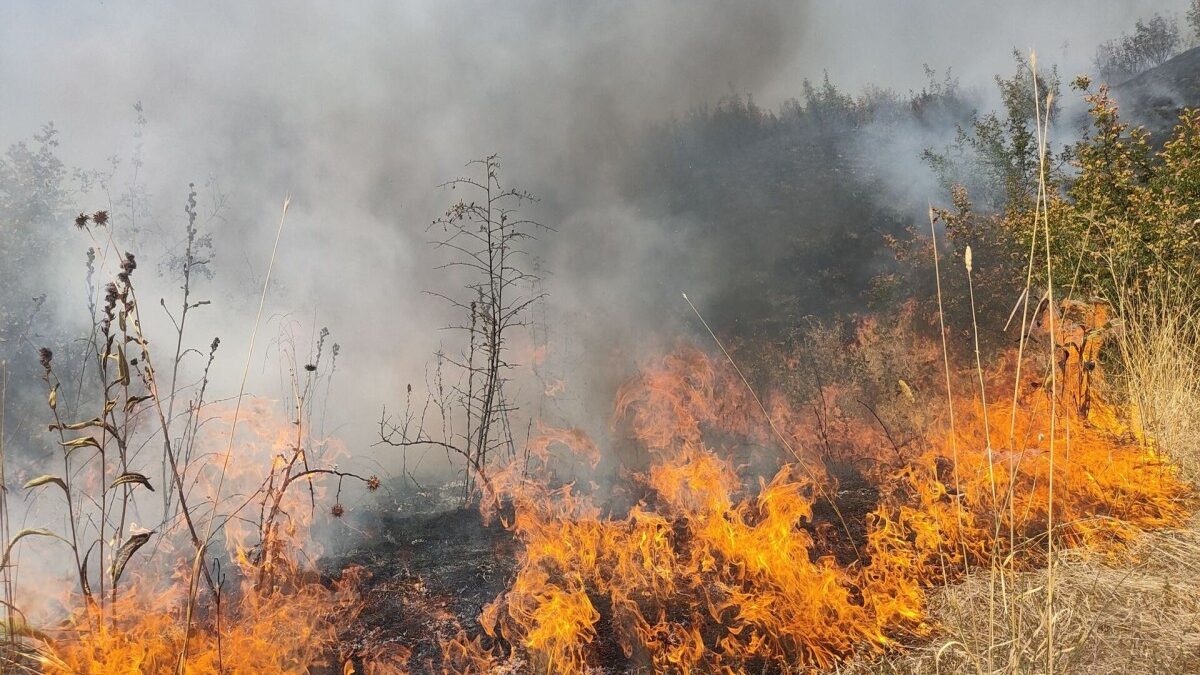A fire broke out in an open area in Kangarli village of Aghdam