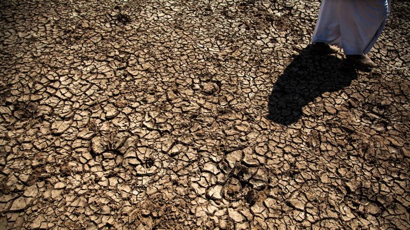 Extreme heat in Europe intensifies drought
