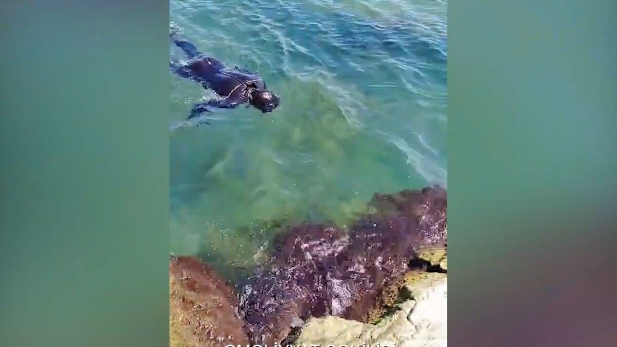 Search continues for 22-year-old man who drowned in the sea in Mardakan – VIDEO