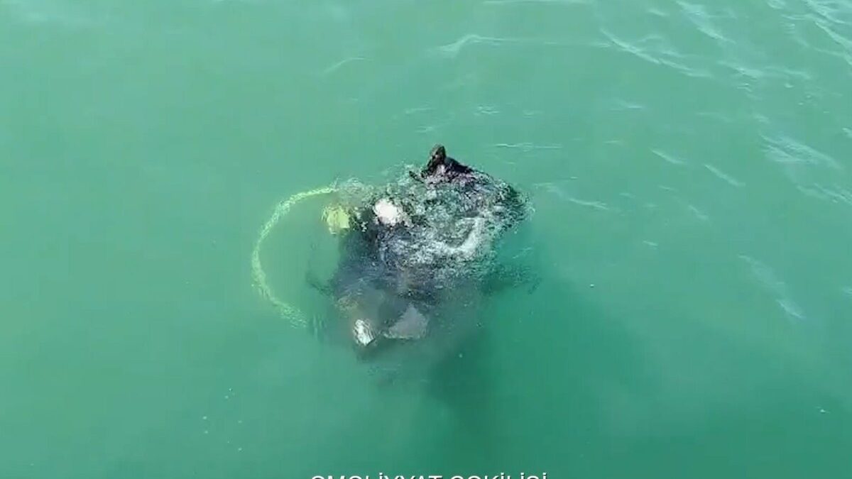 Search for 3 people who drowned in the Caspian Sea continues – VIDEO