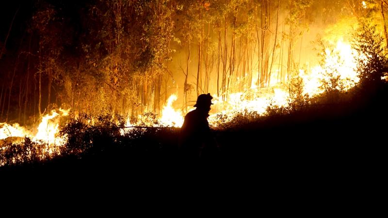 Extreme heat and forest fires in Europe: Thousands of people evacuated