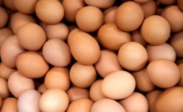 Deadly salmonella suspicion in eggs! Tons of products recalled