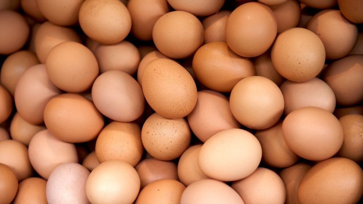 Deadly salmonella suspicion in eggs! Tons of products recalled