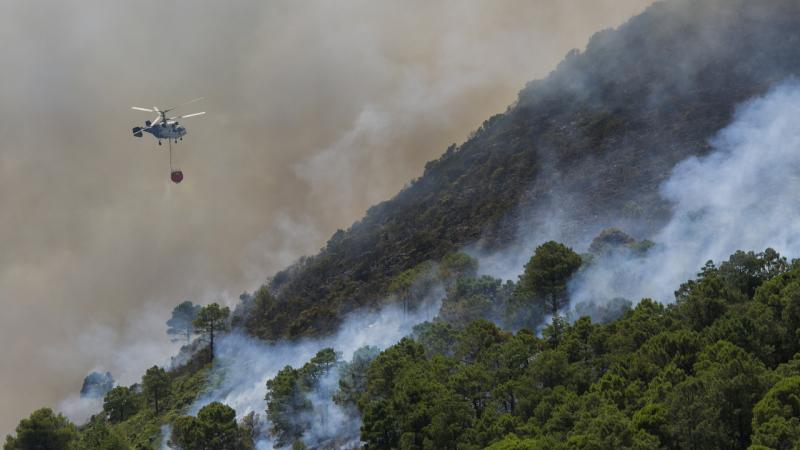 State of emergency declared in Spain due to forest fires