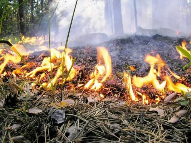 Appeal to the public regarding the risk of forest fires…