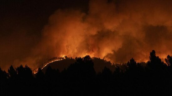 Forest fires in Spain have reached Madrid: authorities have called it the most serious fire in the capital’s history