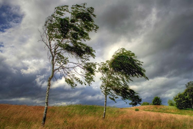 Wind has intensified – ACTUAL WEATHER