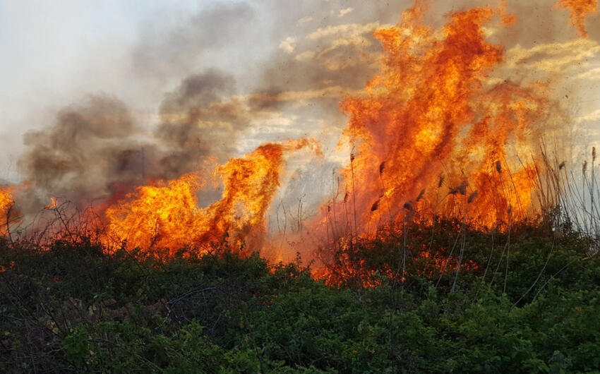 Fire in an open area in Aghdam extinguished