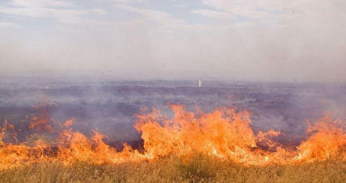 Fires break out in open areas in Aghdam, Fuzuli, and Jabrayil