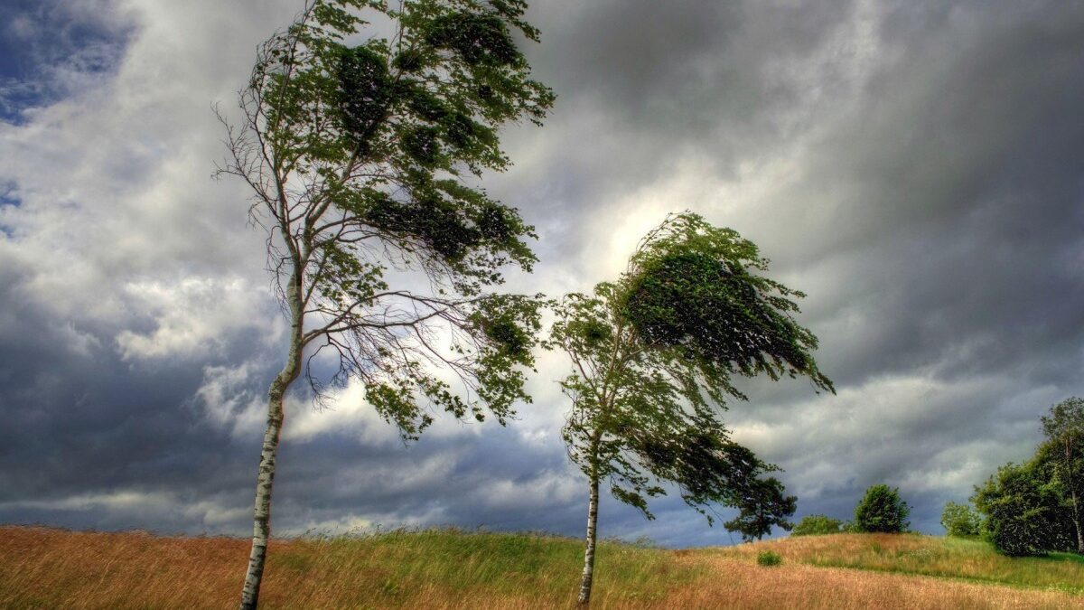 Yellow and orange warnings issued due to wind