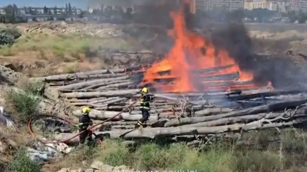 Fire extinguished in an open area in Baku – VIDEO – UPDATED