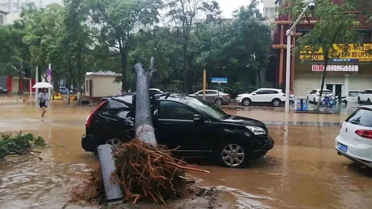 Floods in China: Dozens of people have died
