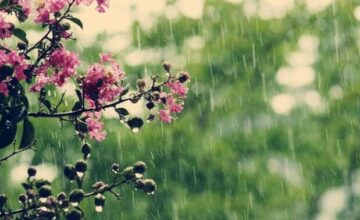 Tomorrow’s weather forecast: Rain and lightning expected in some areas