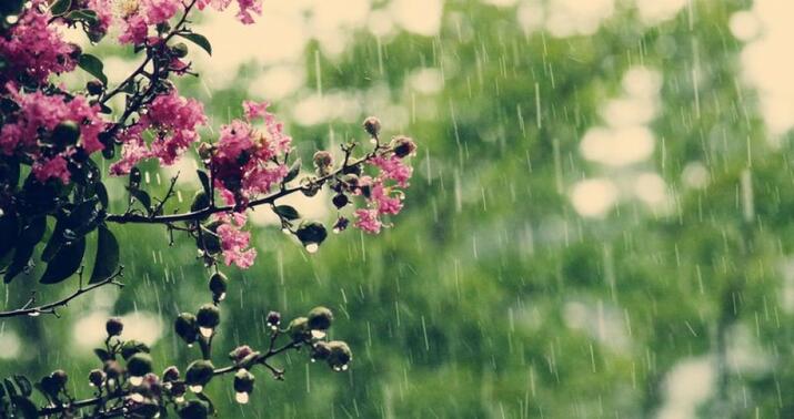 Tomorrow’s weather forecast: Rain and lightning expected in some areas