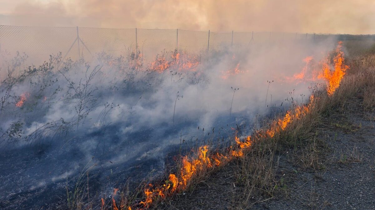 A fire has broken out in an open area on the highway in Lankaran