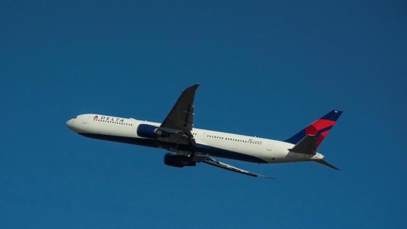 Delta plane hit by fireworks