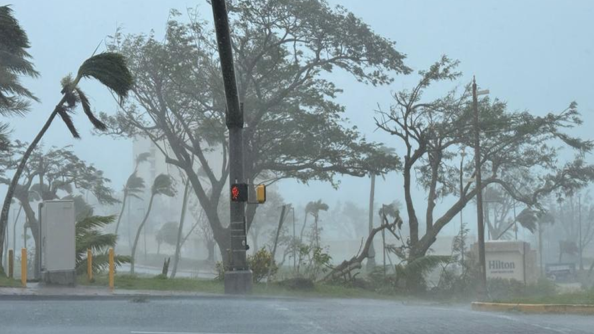 Nearly 2 million people evacuated in China due to Typhoon Bavi