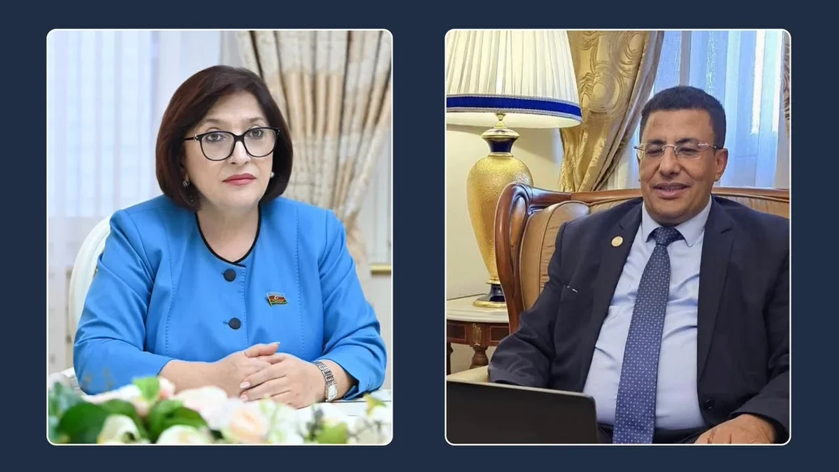 Expansion of cooperation between the Milli Majlis and the Pan-African Parliament discussed