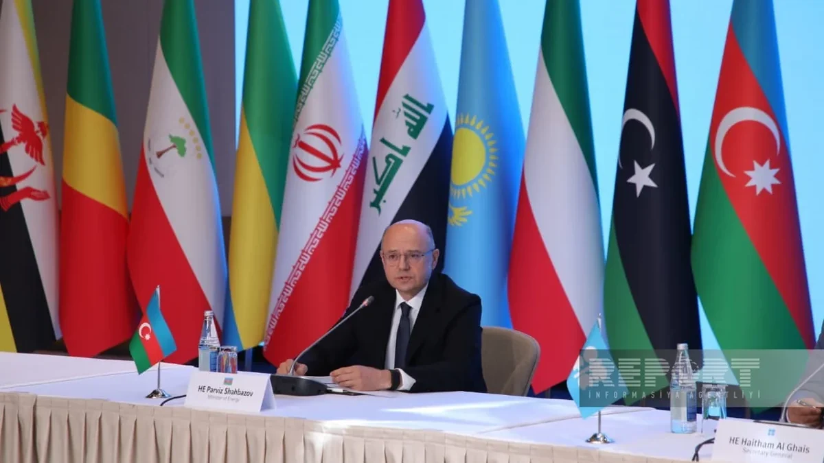 Minister: Azerbaijan’s main value in the energy sector is reliable partnership