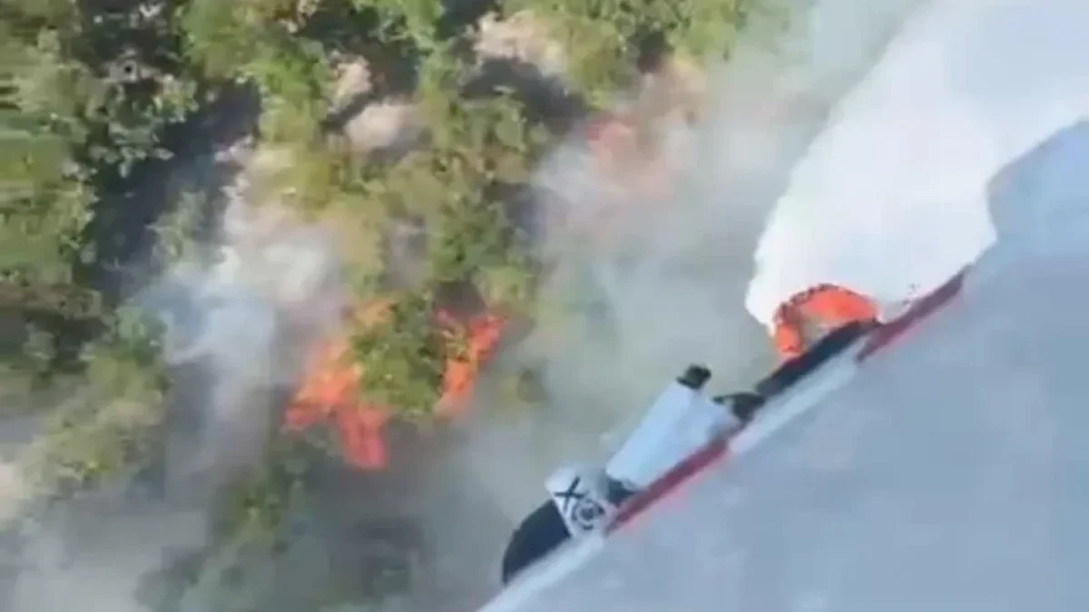 Forest fires have started in Turkey