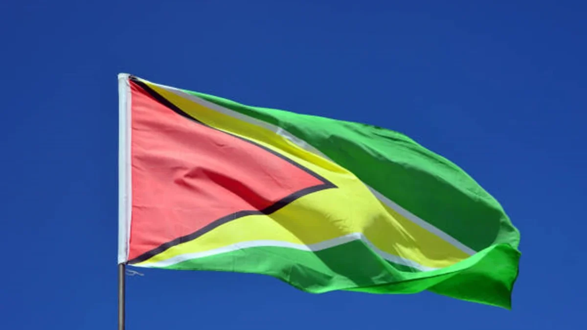 Ferry carrying 116 passengers capsizes in Guyana