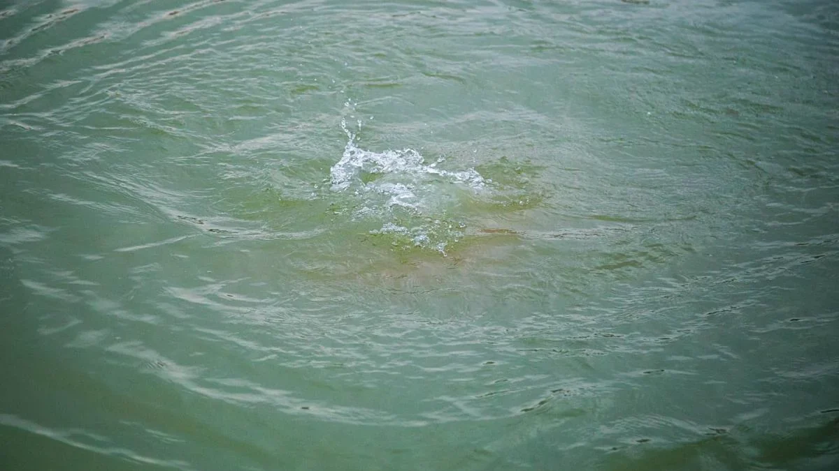 Father and daughter drowned in a lake in Gazakh