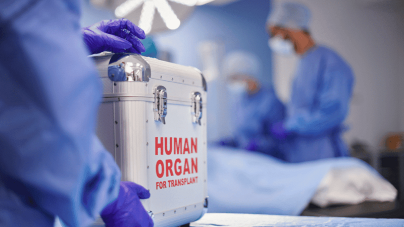 The Cabinet of Ministers has amended the list regarding the transplantation of donor organs