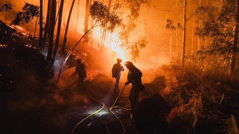 11 people died in a forest fire in Spain